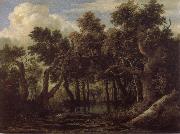 Marsh in a Forest Jacob van Ruisdael